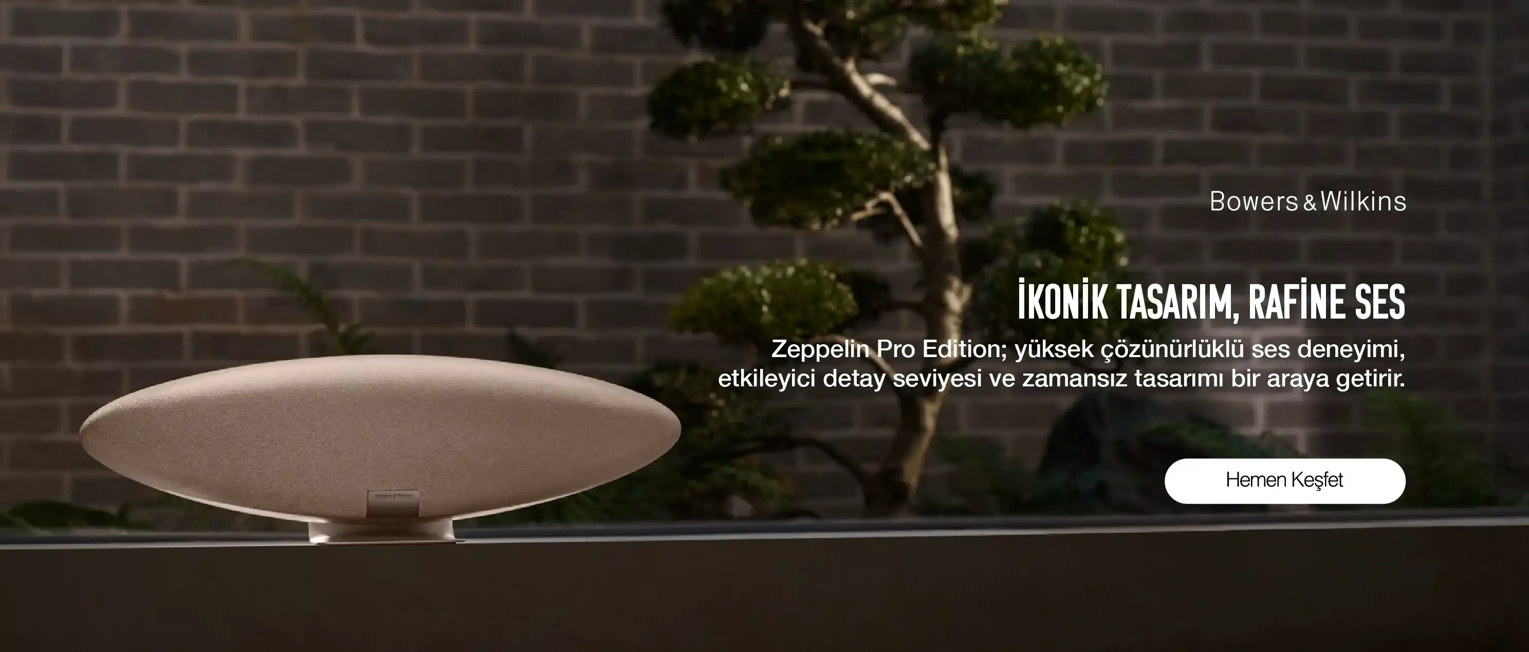 Zeppelin Banner