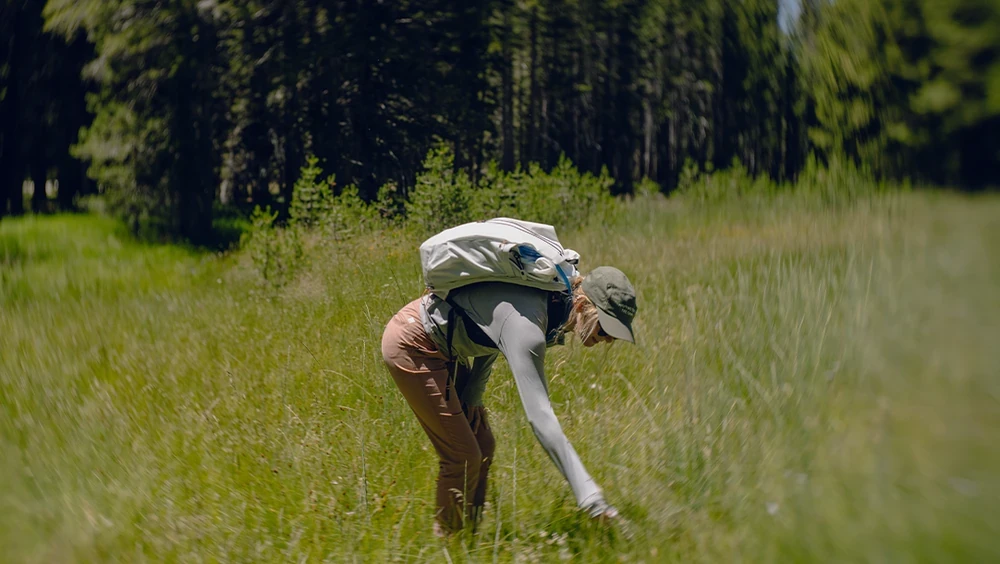 Doğa ile Temas Neden Beden ve Zihin Sağlığımıza İyi Gelir?
