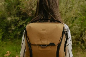 Everyday Backpack | 20L - 2