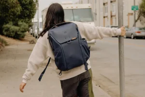 Everyday Backpack v2 | 20L - 17