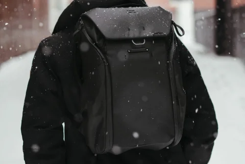 Everyday Backpack v2 | 20L - 14