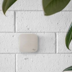 Wall Mount – Bone - 3